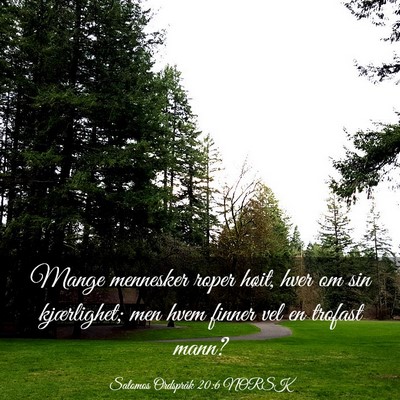 Picture 03 - Salomos Ordspråk 20:6 NORSK - Mange mennesker roper høit, hver om sin - Bible Verse Picture