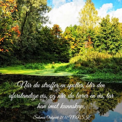 Picture 03 - Salomos Ordspråk 21:11 NORSK - Når du straffer en spotter, blir den - Bible Verse Picture