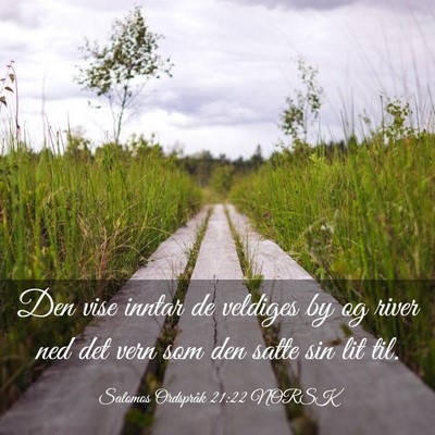 Picture 03 - Salomos Ordspråk 21:22 NORSK - Den vise inntar de veldiges by og river ned det - Bible Verse Picture