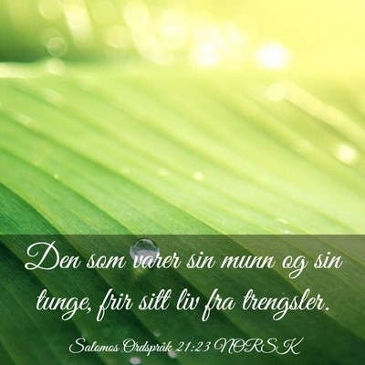 Picture 03 - Salomos Ordspråk 21:23 NORSK - Den som varer sin munn og sin tunge, frir sitt - Bible Verse Picture