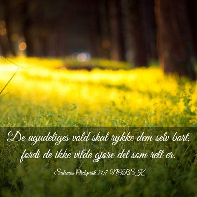 Picture 03 - Salomos Ordspråk 21:7 NORSK - De ugudeliges vold skal rykke dem selv bort, - Bible Verse Picture