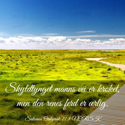 Picture 03 - Salomos Ordspråk 21:8 NORSK - Skyldtynget manns vei er kroket, men den renes - Bible Verse Picture