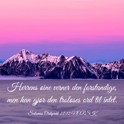Picture 03 - Salomos Ordspråk 22:12 NORSK - Herrens øine verner den forstandige, men han - Bible Verse Picture