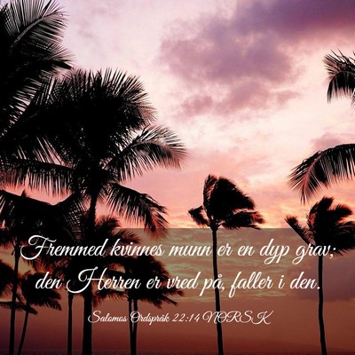 Picture 03 - Salomos Ordspråk 22:14 NORSK - Fremmed kvinnes munn er en dyp grav; den Herren - Bible Verse Picture