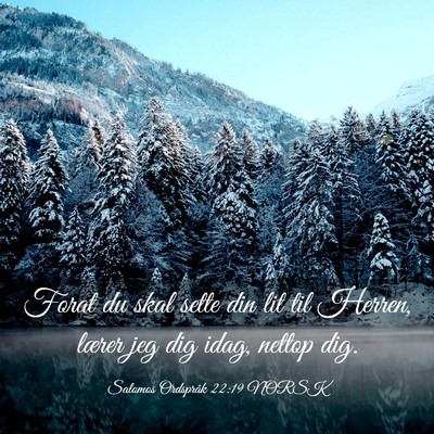 Picture 03 - Salomos Ordspråk 22:19 NORSK - Forat du skal sette din lit til Herren, lærer - Bible Verse Picture