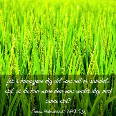 Picture 03 - Salomos Ordspråk 22:21 NORSK - for å kunngjøre dig det som rett er, sannhets - Bible Verse Picture