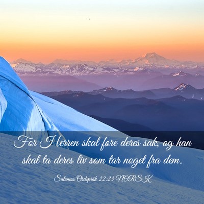 Picture 03 - Salomos Ordspråk 22:23 NORSK - For Herren skal føre deres sak, og han skal ta - Bible Verse Picture