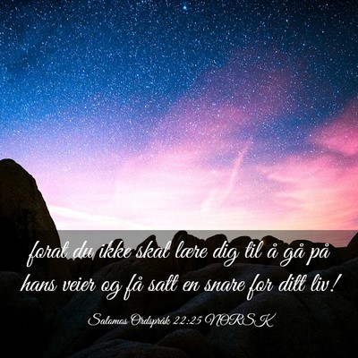 Picture 03 - Salomos Ordspråk 22:25 NORSK - forat du ikke skal lære dig til å gå på hans - Bible Verse Picture