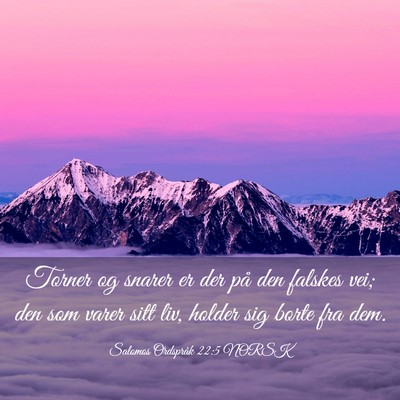 Picture 03 - Salomos Ordspråk 22:5 NORSK - Torner og snarer er der på den falskes vei; den - Bible Verse Picture