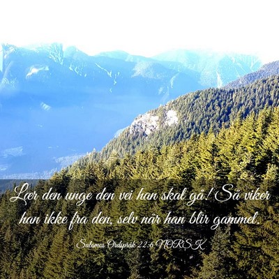 Picture 03 - Salomos Ordspråk 22:6 NORSK - Lær den unge den vei han skal gå! Så viker han - Bible Verse Picture