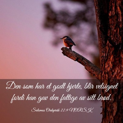 Picture 03 - Salomos Ordspråk 22:9 NORSK - Den som har et godt hjerte, blir velsignet fordi - Bible Verse Picture