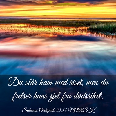 Picture 03 - Salomos Ordspråk 23:14 NORSK - Du slår ham med riset, men du frelser hans sjel - Bible Verse Picture