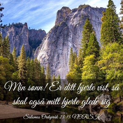 Picture 03 - Salomos Ordspråk 23:15 NORSK - Min sønn! Er ditt hjerte vist, så skal også - Bible Verse Picture