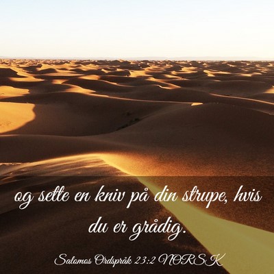 Picture 03 - Salomos Ordspråk 23:2 NORSK - og sette en kniv på din strupe, hvis du er - Bible Verse Picture