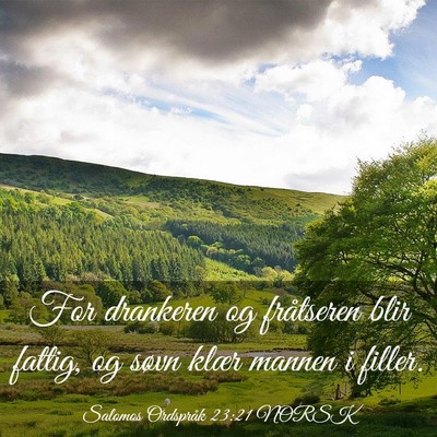 Picture 03 - Salomos Ordspråk 23:21 NORSK - For drankeren og fråtseren blir fattig, og søvn - Bible Verse Picture