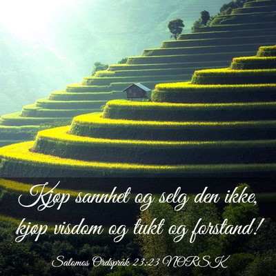Picture 03 - Salomos Ordspråk 23:23 NORSK - Kjøp sannhet og selg den ikke, kjøp visdom og - Bible Verse Picture