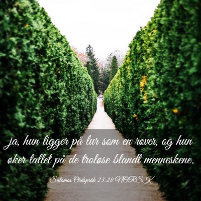 Picture 03 - Salomos Ordspråk 23:28 NORSK - ja, hun ligger på lur som en røver, og hun - Bible Verse Picture