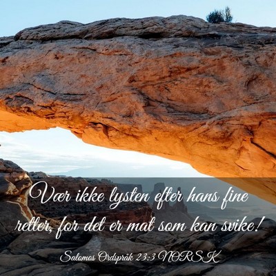 Picture 03 - Salomos Ordspråk 23:3 NORSK - Vær ikke lysten efter hans fine retter, for det - Bible Verse Picture