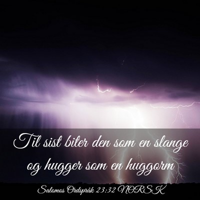 Picture 03 - Salomos Ordspråk 23:32 NORSK - Til sist biter den som en slange og hugger som en - Bible Verse Picture
