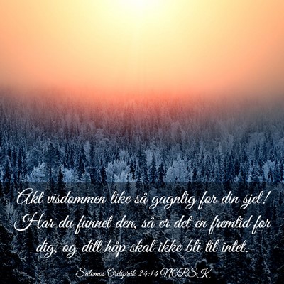 Picture 03 - Salomos Ordspråk 24:14 NORSK - Akt visdommen like så gagnlig for din sjel! Har - Bible Verse Picture