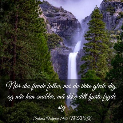 Picture 03 - Salomos Ordspråk 24:17 NORSK - Når din fiende faller, må du ikke glede dig, og - Bible Verse Picture