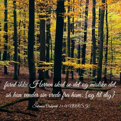 Picture 03 - Salomos Ordspråk 24:18 NORSK - forat ikke Herren skal se det og mislike det, så - Bible Verse Picture