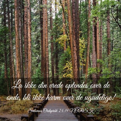 Picture 03 - Salomos Ordspråk 24:19 NORSK - La ikke din vrede optendes over de onde, bli ikke - Bible Verse Picture