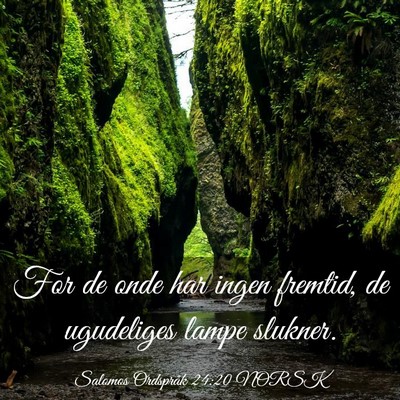Picture 03 - Salomos Ordspråk 24:20 NORSK - For de onde har ingen fremtid, de ugudeliges - Bible Verse Picture