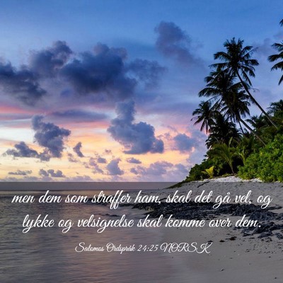 Picture 03 - Salomos Ordspråk 24:25 NORSK - men dem som straffer ham, skal det gå vel, og - Bible Verse Picture