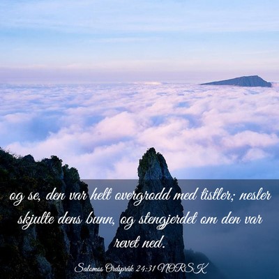 Picture 03 - Salomos Ordspråk 24:31 NORSK - og se, den var helt overgrodd med tistler; nesler - Bible Verse Picture