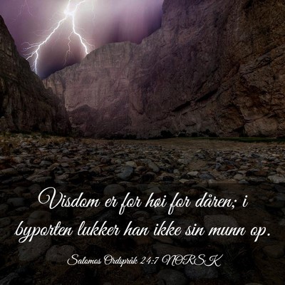 Picture 03 - Salomos Ordspråk 24:7 NORSK - Visdom er for høi for dåren; i byporten lukker - Bible Verse Picture