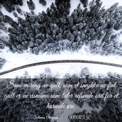 Picture 03 - Salomos Ordspråk 25:12 NORSK - Som en ring av gull, som et smykke av fint gull - Bible Verse Picture
