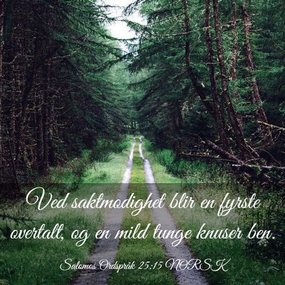 Picture 03 - Salomos Ordspråk 25:15 NORSK - Ved saktmodighet blir en fyrste overtalt, og en - Bible Verse Picture