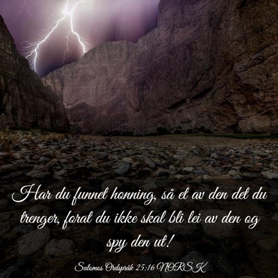 Picture 03 - Salomos Ordspråk 25:16 NORSK - Har du funnet honning, så et av den det du - Bible Verse Picture