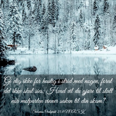 Picture 03 - Salomos Ordspråk 25:8 NORSK - Gi dig ikke for hastig i strid med nogen, forat - Bible Verse Picture