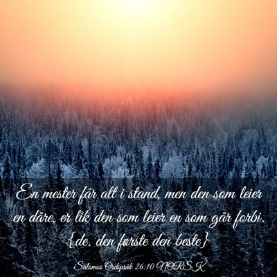 Picture 03 - Salomos Ordspråk 26:10 NORSK - En mester får alt i stand, men den som leier en - Bible Verse Picture