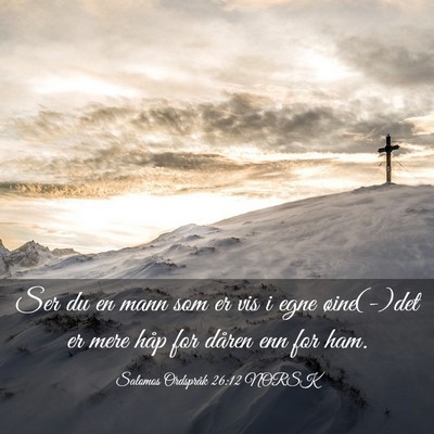 Picture 03 - Salomos Ordspråk 26:12 NORSK - Ser du en mann som er vis i egne øine(-)det er - Bible Verse Picture