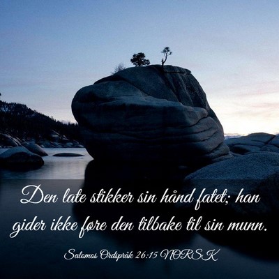 Picture 03 - Salomos Ordspråk 26:15 NORSK - Den late stikker sin hånd fatet; han gider ikke - Bible Verse Picture