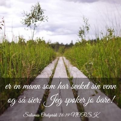 Picture 03 - Salomos Ordspråk 26:19 NORSK - er en mann som har sveket sin venn og så sier: - Bible Verse Picture