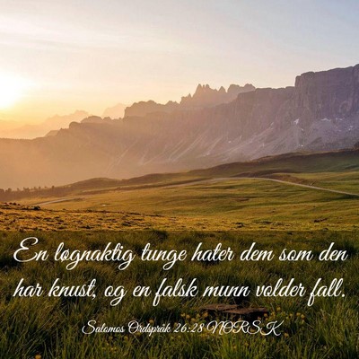 Picture 03 - Salomos Ordspråk 26:28 NORSK - En løgnaktig tunge hater dem som den har knust, - Bible Verse Picture