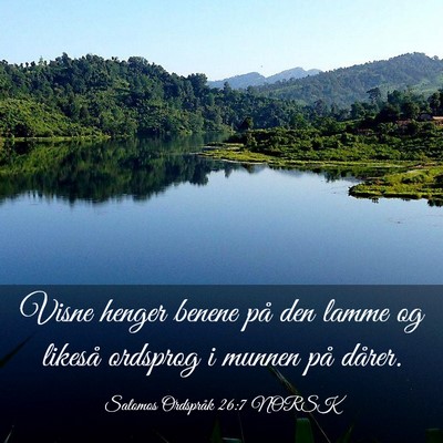 Picture 03 - Salomos Ordspråk 26:7 NORSK - Visne henger benene på den lamme og likeså - Bible Verse Picture