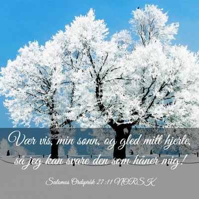Picture 03 - Salomos Ordspråk 27:11 NORSK - Vær vis, min sønn, og gled mitt hjerte, så jeg - Bible Verse Picture