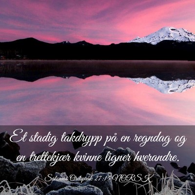 Picture 03 - Salomos Ordspråk 27:15 NORSK - Et stadig takdrypp på en regndag og en - Bible Verse Picture