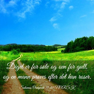 Picture 03 - Salomos Ordspråk 27:21 NORSK - Digel er for sølv og ovn for gull, og en mann - Bible Verse Picture