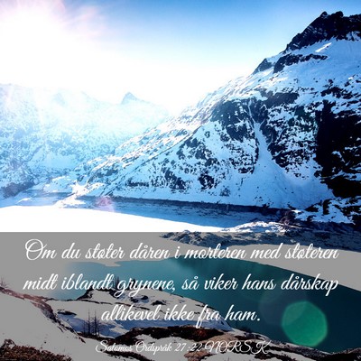 Picture 03 - Salomos Ordspråk 27:22 NORSK - Om du støter dåren i morteren med støteren - Bible Verse Picture