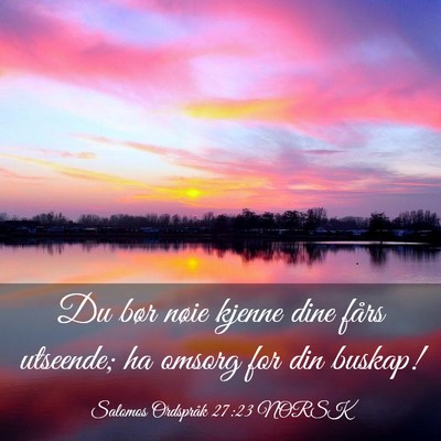Picture 03 - Salomos Ordspråk 27:23 NORSK - Du bør nøie kjenne dine fårs utseende; ha - Bible Verse Picture