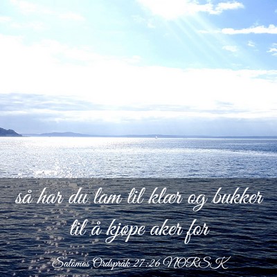Picture 03 - Salomos Ordspråk 27:26 NORSK - så har du lam til klær og bukker til å kjøpe - Bible Verse Picture