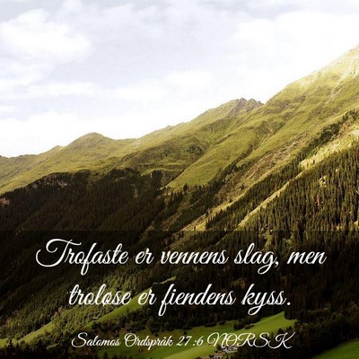 Picture 03 - Salomos Ordspråk 27:6 NORSK - Trofaste er vennens slag, men troløse er - Bible Verse Picture
