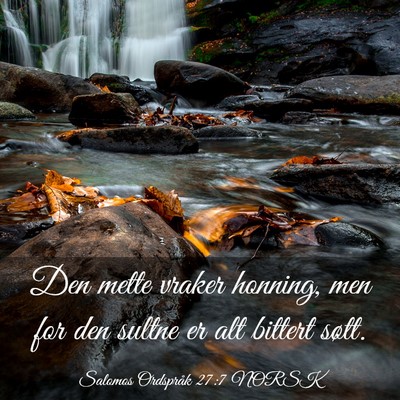 Picture 03 - Salomos Ordspråk 27:7 NORSK - Den mette vraker honning, men for den sultne er - Bible Verse Picture