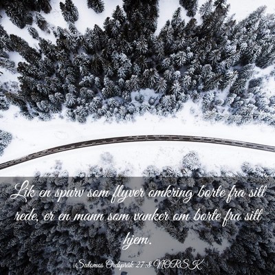 Picture 03 - Salomos Ordspråk 27:8 NORSK - Lik en spurv som flyver omkring borte fra sitt - Bible Verse Picture